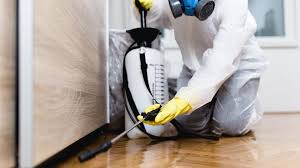 Best Fumigation Services  in Novi, MI